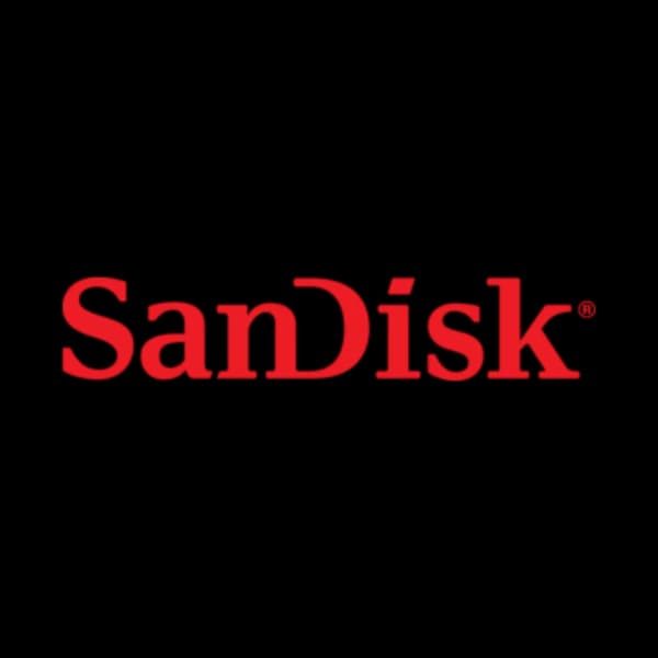 SanDisk logosu