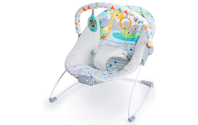 Bright Starts Ana Kucağı 696 TL