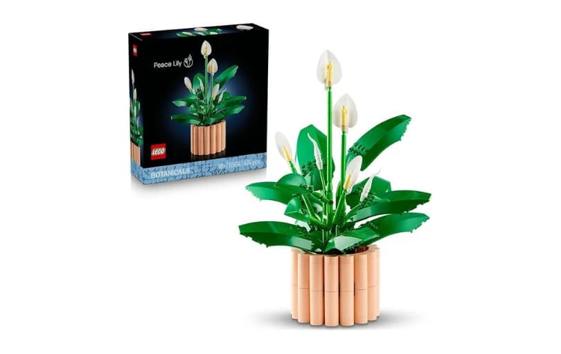 Lego Botanicals Barış Çiçeği 2.022tl