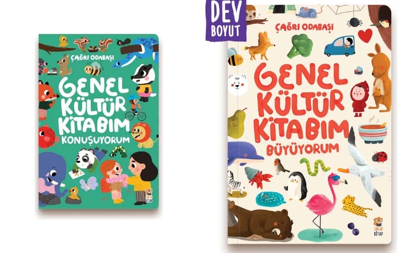 Sincap Kitap Sepette %35 İndirim