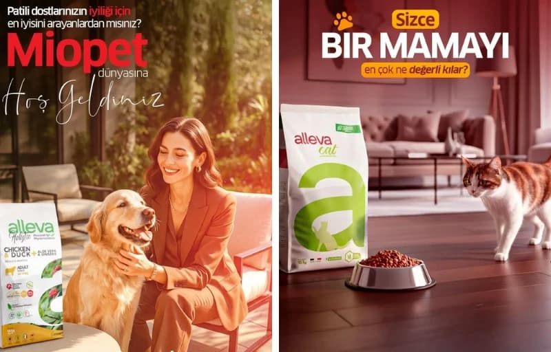 Alleva Kedi Köpek Mamalarında %10 İndirim