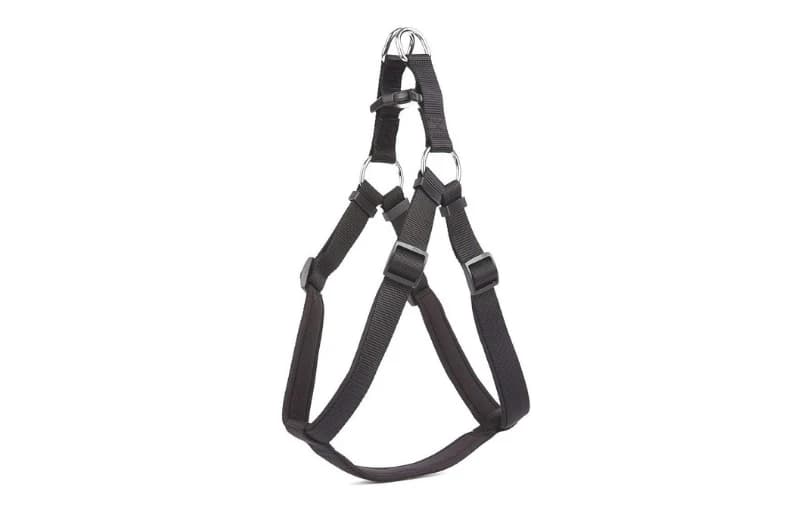 Doggie Konfor Ronin Dokuma Göğüs Tasması Siyah 2,5x65-75 Cm 212tl (6 Ayın En Düşük Fiyatı)