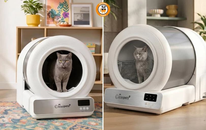 Kiwi Kiwipets Kplb-10771 Akıllı Kedi Tuvaleti 9.999 Tl