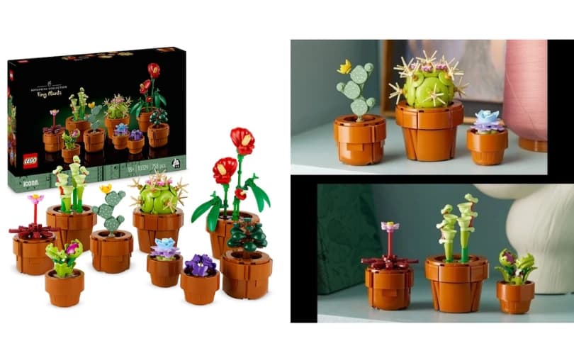 Lego® Botanicals Minik Bitkiler Yaratıcı Çiçek Yapım Seti 1.299 TL