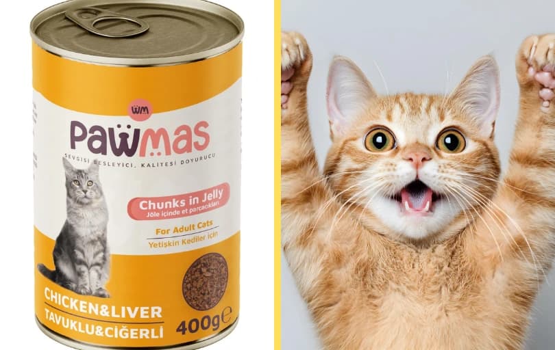 Pawmas Yetişkin Kedi Konservesi 400 G – 27 TL (3 Adet Alımda 18 TL)