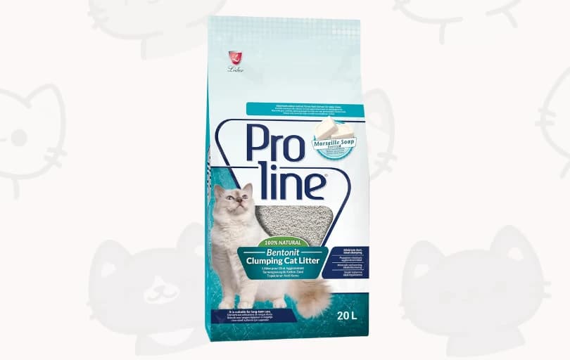 Proline 20L Kedi Kumunda 3 Al 2 Öde Fırsatı